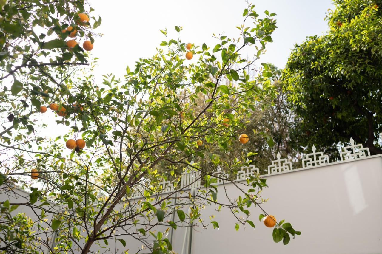 Apartament Casa Blue Dove Chania  Zewnętrze zdjęcie